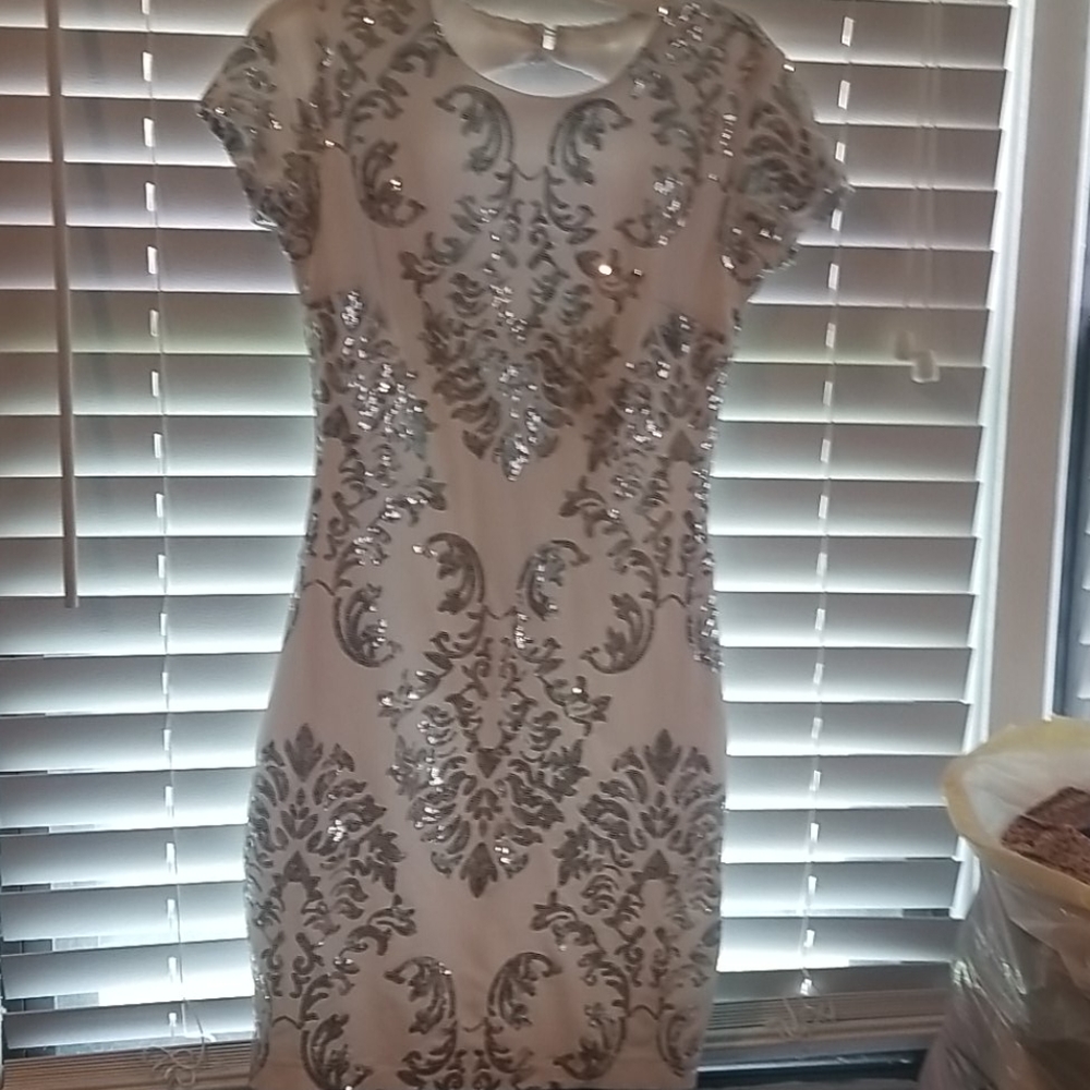 Formal dress B. Darl8n